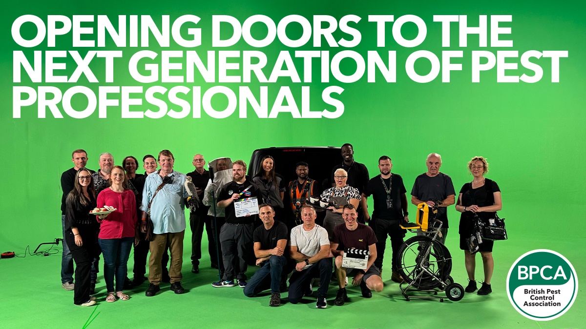 Generation hero Generation hero